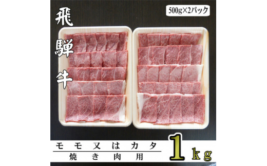 ふるさと納税 揖斐川町 「A5等級」飛騨牛赤身肉焼肉用1kg モモ又はカタ肉-