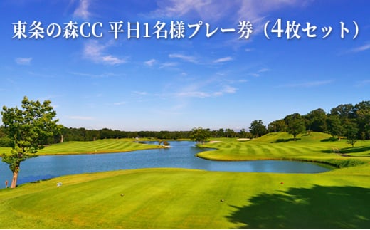 東条の森カントリークラブ 平日 1名様 プレー券 (4枚セット) 東条の森CC [ ゴルフ 加東市 兵庫県 関西 ゴルフ場 ] -  兵庫県加東市｜ふるさとチョイス - ふるさと納税サイト