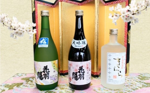 ふるさと納税 山形県 大蔵村 地酒飲みくらべセットＣ-