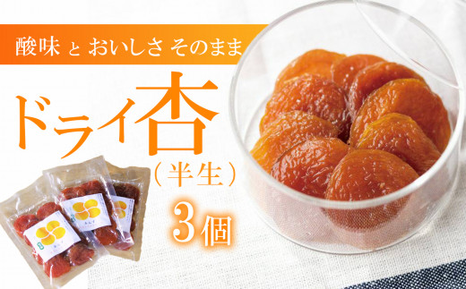 【長野県千曲市】酸味とおいしさそのまま ドライ杏 (半生) 3個