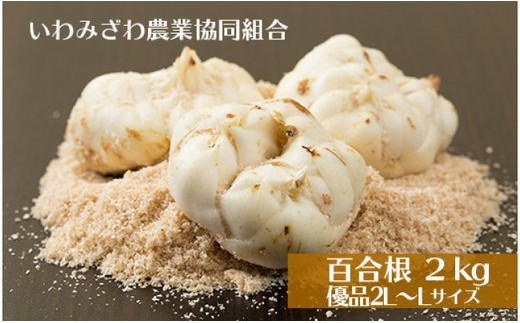 数量&配送期間限定(2024年10月上旬～発送予定)】岩見沢市産 百合根 2kg 