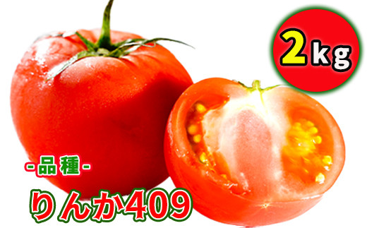 【岩手県八幡平市】CD-004 田村さんのこだわりな大玉トマト 2kg×1箱