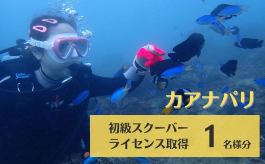 海陽町の海で初級スクーバダイビングライセンス取得！ ダイビング ライセンス 取得 チケット カアナパリ 国際ライセンス BSAC 体験  スクーバダイビング スキューバダイビング 四国 徳島 徳島県 海陽 海陽町