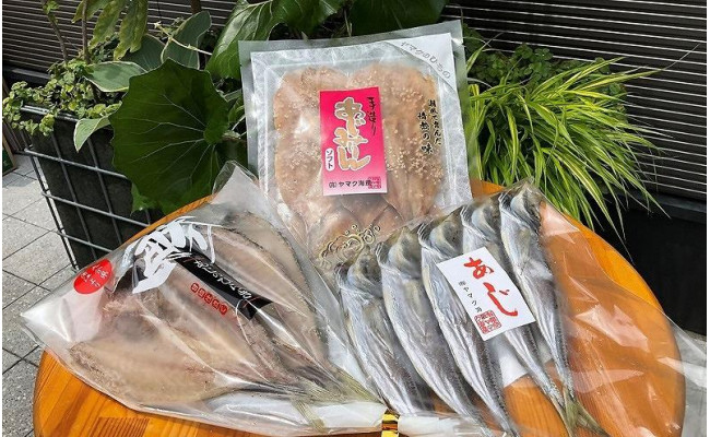厳選！佐伯のアジ干物3兄弟 - 大分県佐伯市｜ふるさとチョイス - ふるさと納税サイト