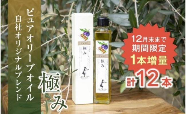 オリーブオイル 小豆島産 国産 おひな祭り 【通販激安】 70.0%OFF