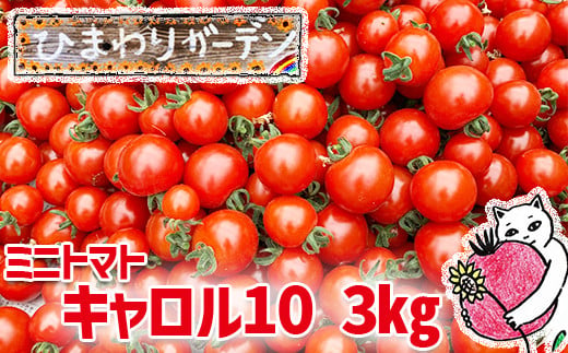 【EM栽培】ミニトマト キャロル10 約3kg ／ ひまわりガーデン 産地直送 農家直送 野菜 新鮮 - 岩手県八幡平市｜ふるさとチョイス -  ふるさと納税サイト