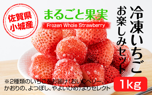 堅実な究極の 冷凍苺24kg(500g×48袋）佐賀県産 スムージージャムジュレ