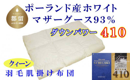yRsszyzcz|[hY}U[O[X93 HєzciNC[F220cm×210cmji_Ep[410jyTJL[zbHѕzc HтӂƂ HєӂƂ