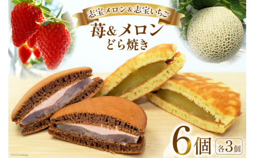 サンプル写真