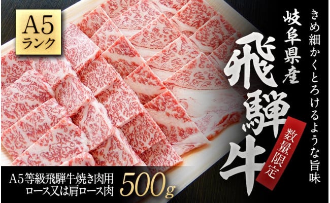 数量限定】A５等級飛騨牛焼き肉用500ｇロース又は肩ロース肉 - 大野町大野町 | ふるさと納税 [ふるさとチョイス]