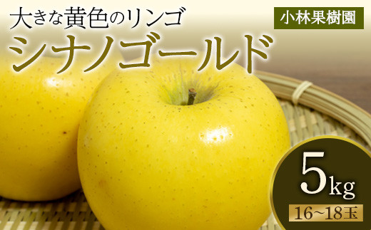 sd1_7eb9addf4428dcec1c4134878b