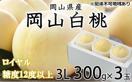 桃 2024年 先行予約 岡山 白桃 ロイヤル 3玉×約300g（3Lサイズ） JA おかやま のもも（早生種・中生種） もも モモ 岡山県産 国産  フルーツ 果物 ギフト