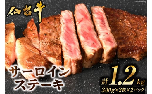 y{錧Csz Xe[L 䋍T[CXe[Lv1.2kg [CsYU {錧 Cs 20565271] 䋍 uh