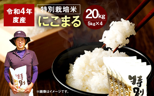 令和4年度産】 相良村産 特別栽培米 にこまる 20kg (5kg×4） - 熊本県 ...
