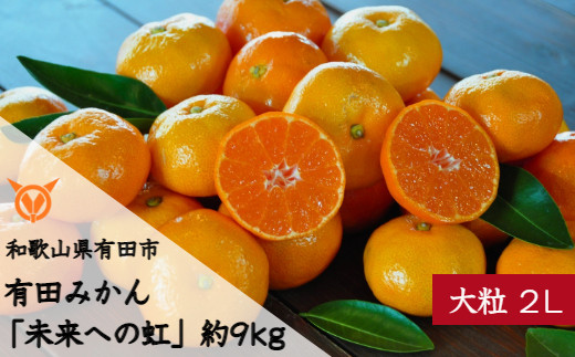 1月お届け】【大粒・2L・LL】有田みかん「未来への虹」（約9kg）(A240