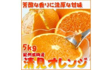 【和歌山県九度山町】とにかくジューシー清見オレンジ　5kg