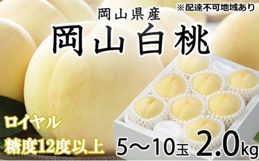 桃 2024年 先行予約 岡山 白桃 ロイヤル 5～10玉 約2kg JAおかやまのもも（早生種・中生種） もも モモ 岡山県産 国産 フルーツ 果物  ギフト [№5735-1210] - 岡山県瀬戸内市｜ふるさとチョイス - ふるさと納税サイト