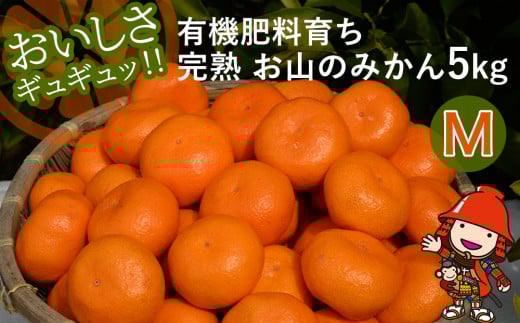 y啪Îszys\zyʌzv۔_̗L@엿炿n  R݂̂ 5kg(M)+3 (ݕ⏞) | t[c ʕ   ~J ݂ k k B݂ Yn