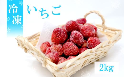 【福岡県小郡市】白木のいちご 旬のおいしさそのまま　冷凍いちご（品種混合）2kg