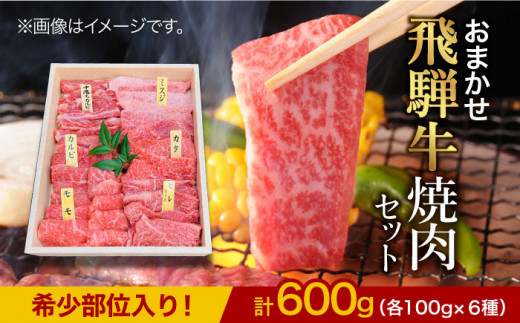 厳選！じゅわっと柔らかい＞飛騨牛 焼肉用 6種食べ比べセット【有限