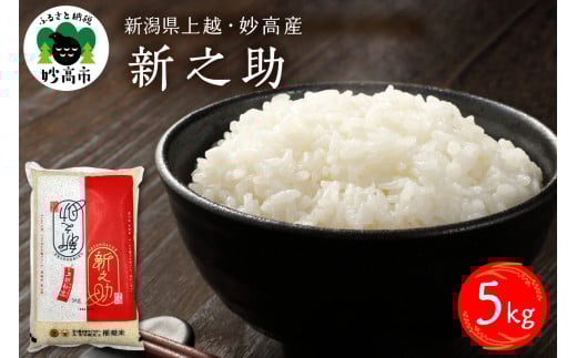 令和7年産 新潟県上越妙高産 新之助 5kg - 新潟県妙高市