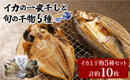 アオリイカ イカ タコの人気商品 通販 価格比較 価格 Com