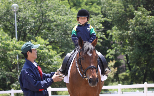 初心者乗馬体験＜レッスン1回コース＞【乗馬 体験 馬 うま ウマ 乗馬体験チケット 馬散歩 乗馬レッスン レジャー アクティビティ 乗馬体験  レンタル付 乗馬散歩 自然 初心者 安心 スポーツ アウトドア】 - 茨城県龍ケ崎市｜ふるさとチョイス - ふるさと納税サイト