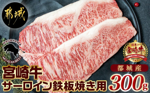 宮崎県産黒毛和牛　延岡長寿牛　サーロイン 宮崎県産黒毛和牛 延岡長寿牛 サーロイン