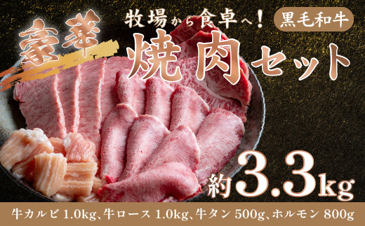 サンプル写真