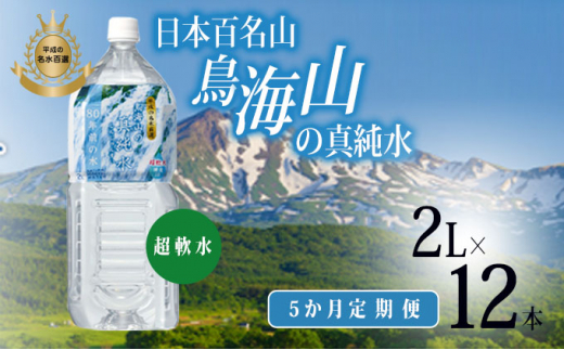 yHcɂَszsցt~lEH[^[ 2L×12{×5 {SR CR̐^(N  2l)