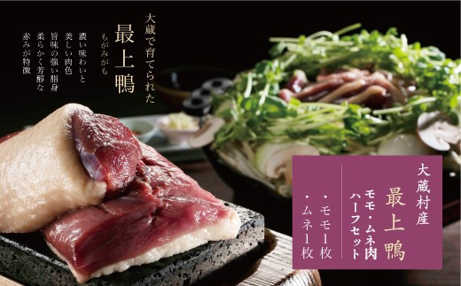 最上もが　セット 最上もがセット
