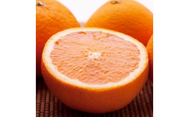 【和歌山県日高町】＜2月より発送＞家庭用きよみオレンジ8kg+240g（傷み補償分）　【光センサー選果】【樹上完熟清見オレンジ・清見タンゴール・清美】【訳あり・わけあり】