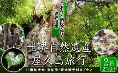 白谷雲水峡 縄文杉 ヤクスギランド等 Jtbふるさと納税旅行クーポン 30 000円分 鹿児島県屋久島町 ふるさと納税 ふるさとチョイス