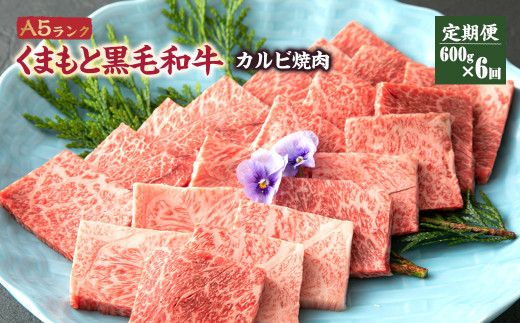 定期便6回】A5ランク くまもと黒毛和牛 カルビ 焼肉 600g 和牛 牛肉