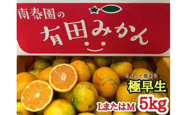 ちょっと傷あり【極早生・有田みかん】LまたはMサイズ／約5kg - 有田川町有田川町 | ふるさと納税 [ふるさとチョイス]