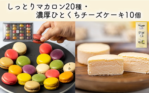 kazunori ikeda individuel】マカロン 20種 濃厚 ひとくち チーズ 