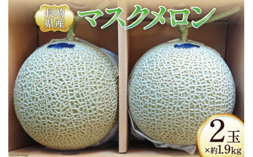 【先行受付】メロン マスクメロン 約1.9kg×2玉 / シミズ farm / 長崎県 雲仙市 [item0757] / フルーツ 果物 2玉  期間限定 - 長崎県雲仙市｜ふるさとチョイス - ふるさと納税サイト