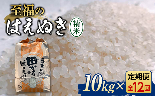 《先行予約》『定期便』令和5年産米 至福のはえぬき（精米）5kg 全