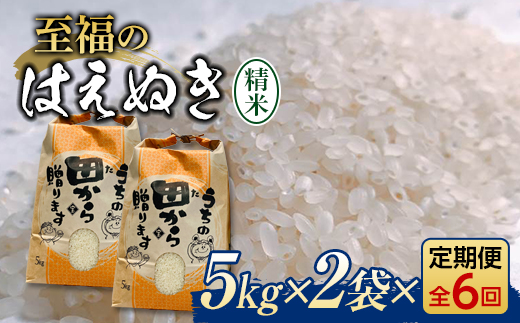 定期発送】米食味鑑定士厳選 新庄産米（精米） 月替わり「つや姫