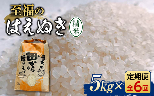 『定期便』令和5年産米 至福のはえぬき（精米）5kg 全6回 米 お米