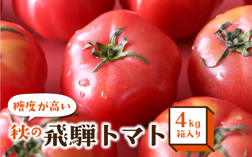 秋の濃い味 飛騨トマト 4kg　大玉 トマト とまと 秋 野菜 期間限定 産地直送 野菜 宿儺 TR4286