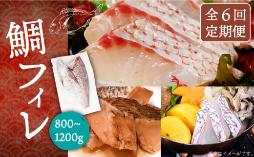 y茧szyS6ցztB 800?1200gi1E2kgjsstyȂ͂z [JDT034] ^C  tB  hg hgubN hg ؐg Ⓚ CN CN  162000 162000~