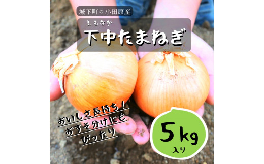 令和5年出荷】城下町の下中たまねぎ 5kg＜出荷時期：2023年6月1日出荷