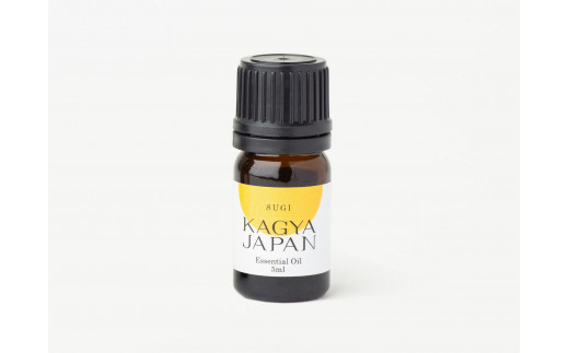 yÉ썪{z40-1 KAGYA JAPAN@GbZVICySUGIzi5ml×1{Zbgj