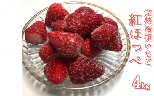 紅ほっぺ いちごの人気商品 通販 価格比較 価格 Com