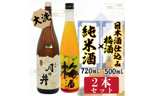 日本酒 純米酒 日本酒 仕込み 梅酒 2本 セット 月の井 大洗 地酒