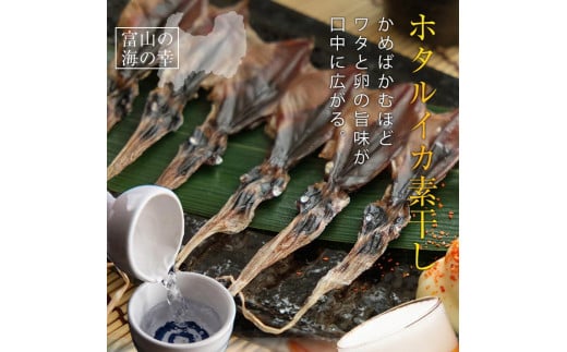 越中氷見屋 ホタルイカ 素干し 18尾入り × 5袋 【魚貝類・加工食品