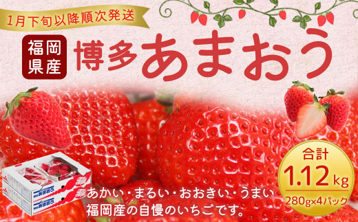 福岡県産 博多あまおう 約1.12kg（約280g×4パック入り） いちご 苺