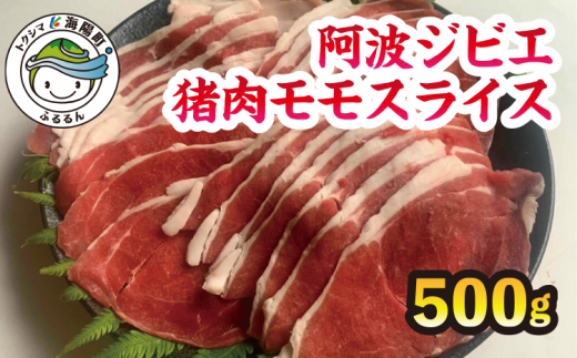 サンプル写真