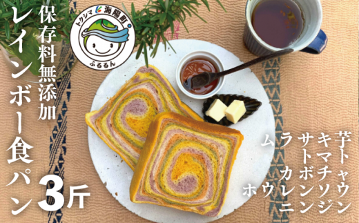 サンプル写真